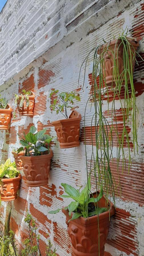 Cloud9 Hostel Medellin Exterior photo